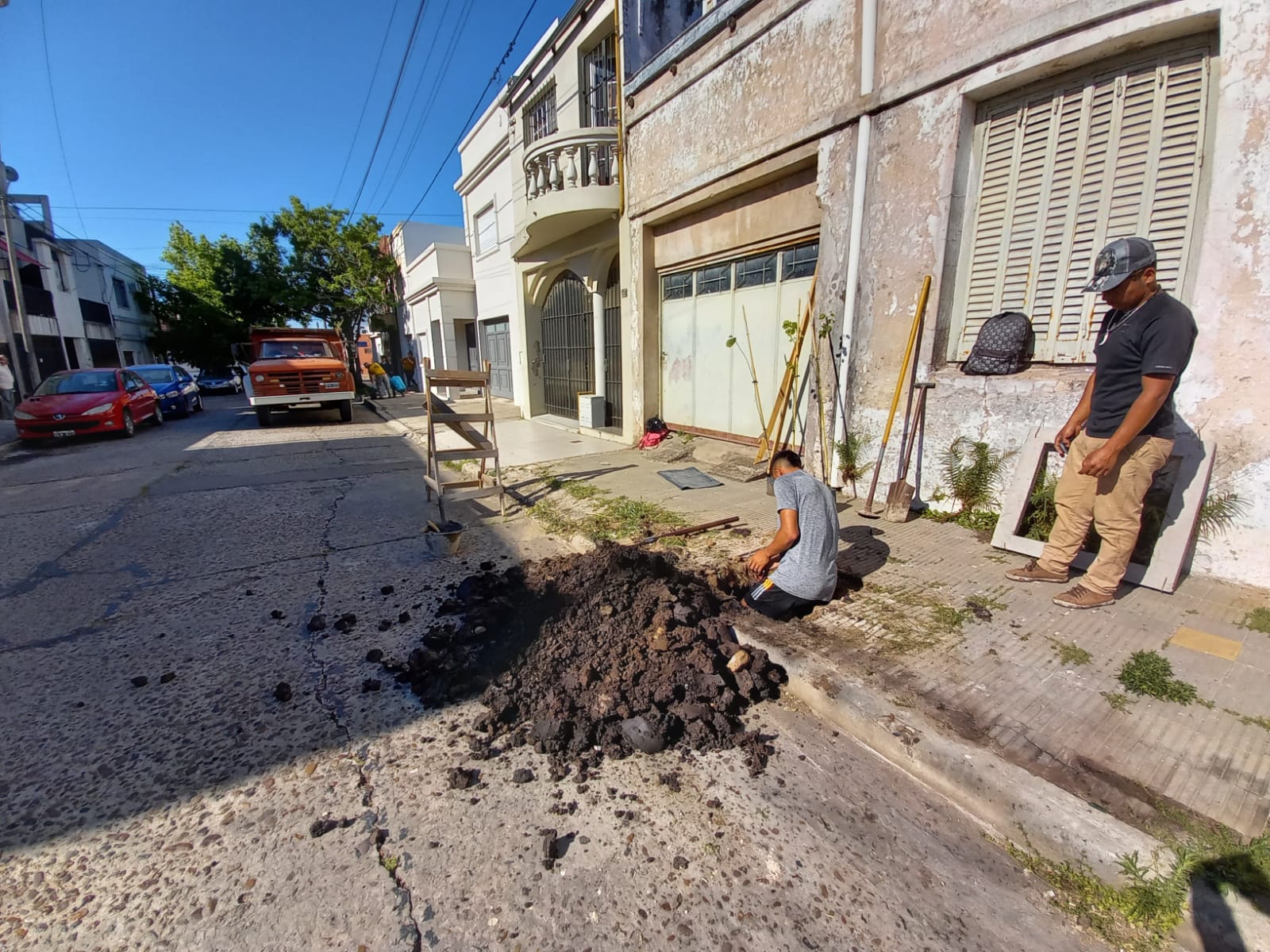 Comenzó la segunda etapa del Plan de Arbolado Urbano