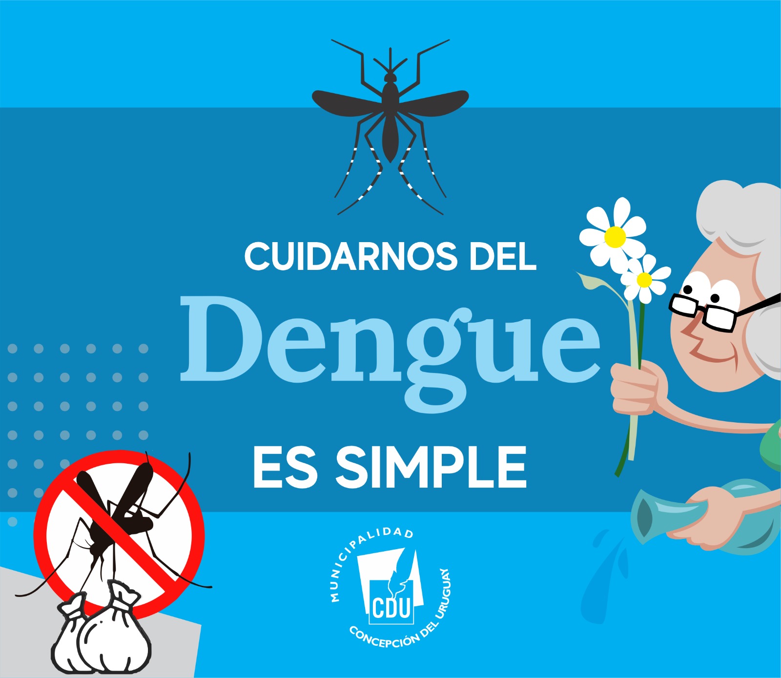 La Municipalidad dispone información sobre Dengue en su web