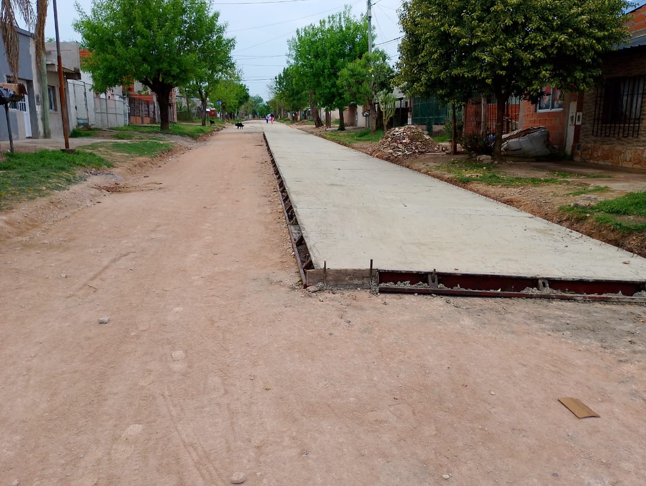 Continúa la pavimentación en calle Filiberto